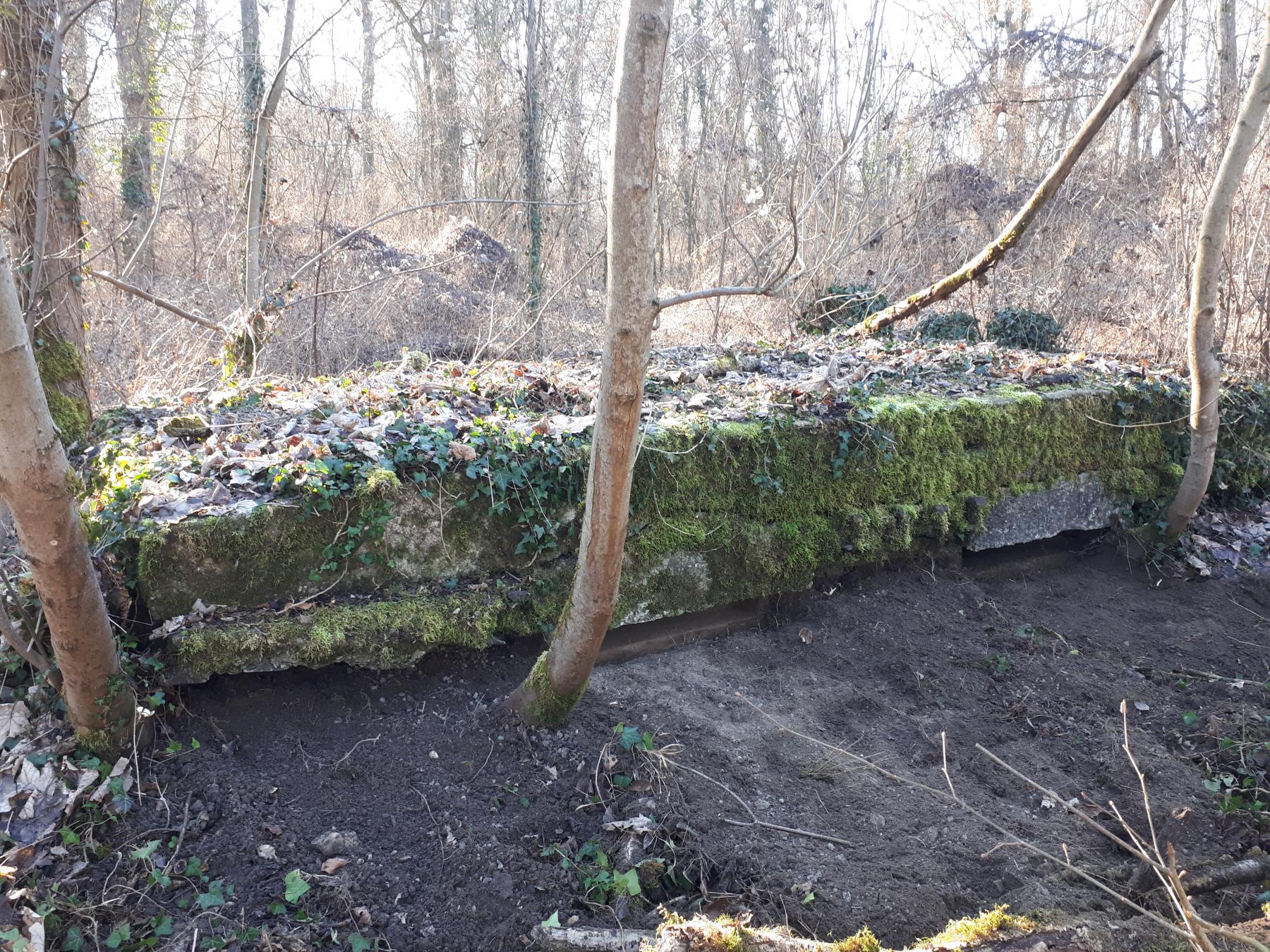 Ligne Maginot - WALDHOF OUEST - (Blockhaus pour arme infanterie) - Vue de face - G.Fuchs