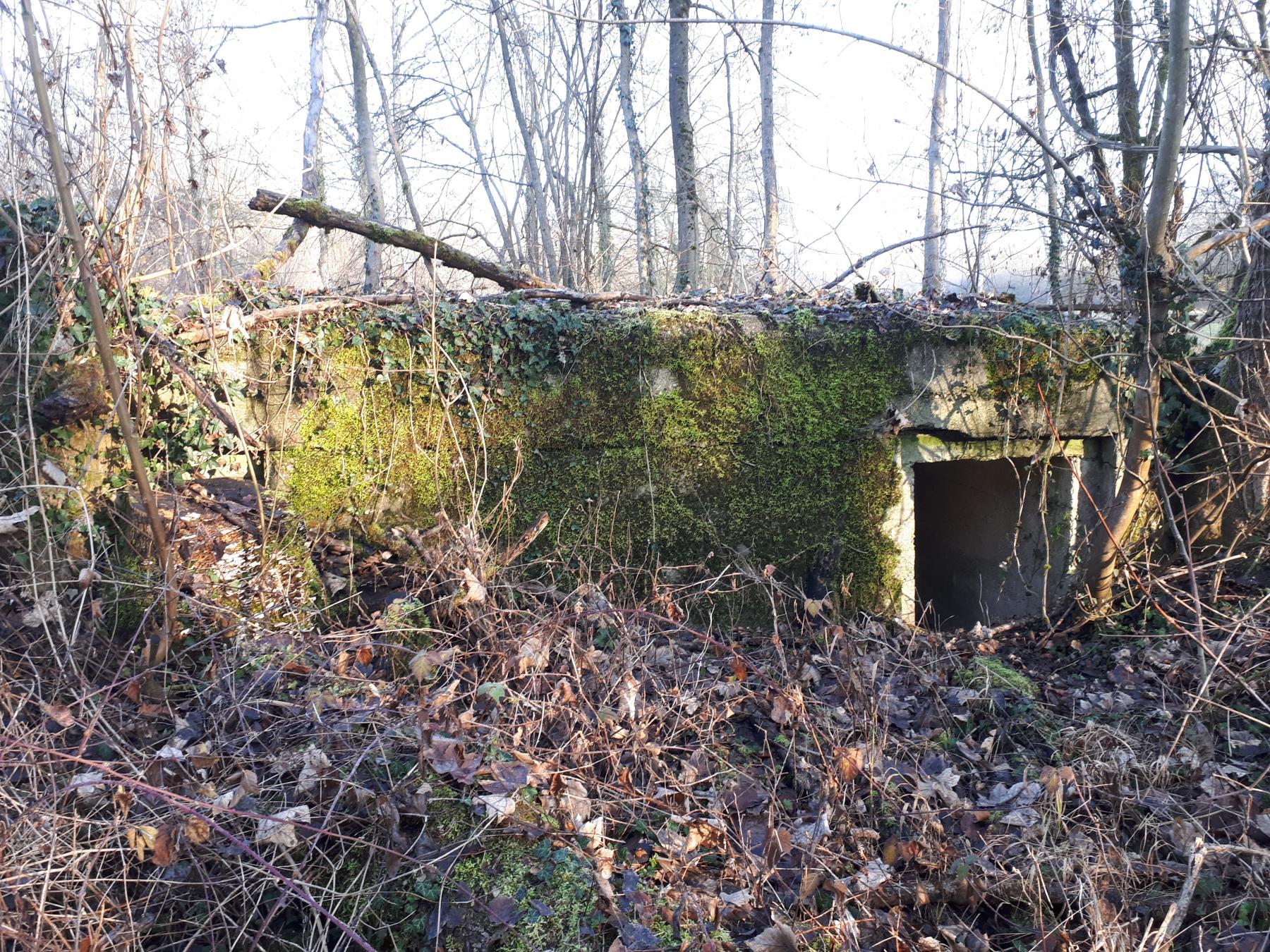 Ligne Maginot - WALDHOF OUEST - (Blockhaus pour arme infanterie) - Une des deux entrées - G.Fuchs