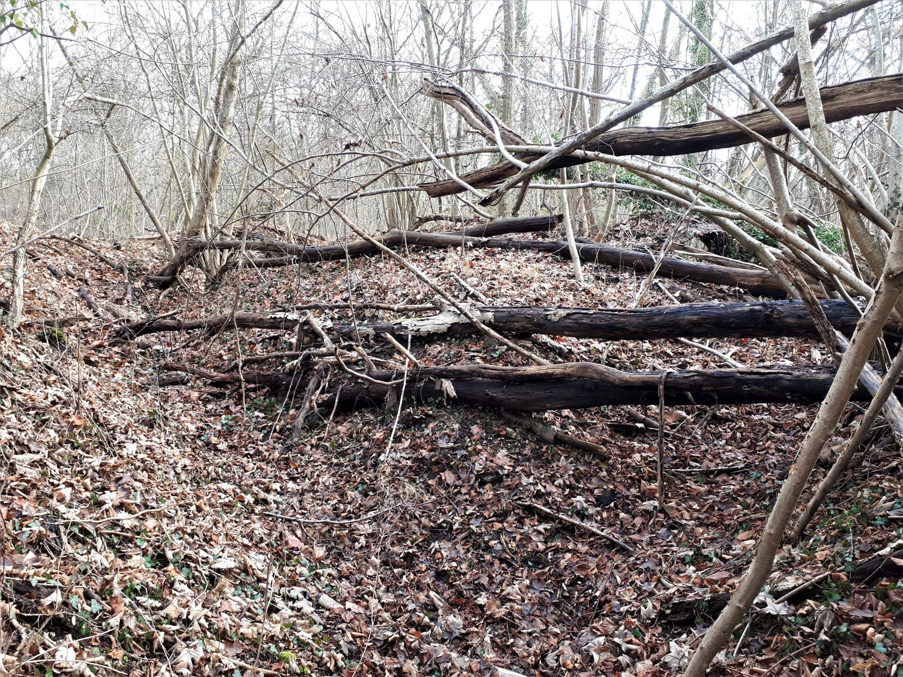 Ligne Maginot - UHRICH - HOCHE (1° BON 237° RI) - (PC de Sous-Quartier) - Tranchées donnant accès à deux abris en tôle métro sur le saillant gauche du front de tête - Gregory Fuchs