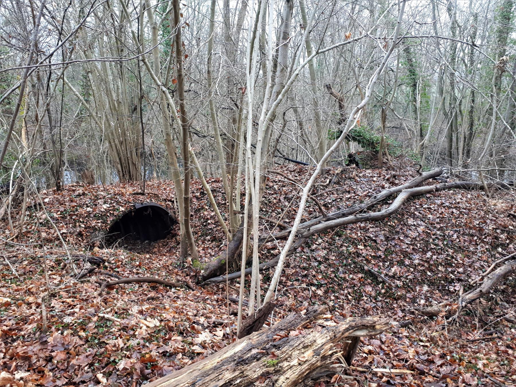 Ligne Maginot - UHRICH - HOCHE (1° BON 237° RI) - (PC de Sous-Quartier) - Les deux abris en tôle métro sur le saillant gauche du front de tête - Gregory Fuchs