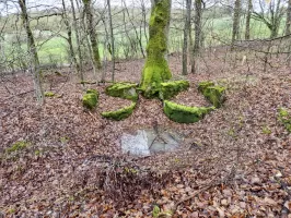 Ligne Maginot - LORENTZERWALD 1 - (Cuve pour arme d'infanterie) - Double poste de tir ou d'observation