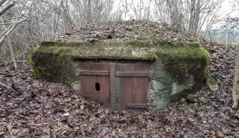 Ligne Maginot - C4 - EICHHOLTZ 2 - (Blockhaus pour canon) - L'entrée.
Le blockhaus est assailli par la végétation