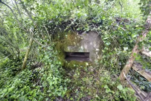 Ligne Maginot - BARRWALD CENTRE - (Blockhaus pour arme infanterie) - 