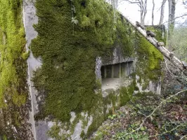 Ligne Maginot - CB309 - ZEITERHOLZ EST - (Blockhaus pour canon) - La façade de tir. 