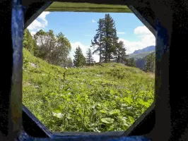 Ligne Maginot - LAVOIR - (Ouvrage d'artillerie) - Entrée des hommes
Vue depuis le créneau FM frontal