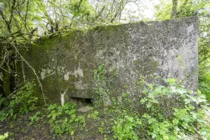 Ligne Maginot - CB139 - NONNENBERG NORD - (Blockhaus pour arme infanterie) - 
