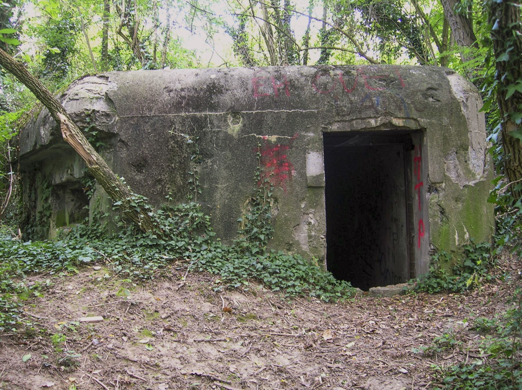 Ligne Maginot - A33 - (Blockhaus pour arme infanterie) - L'entrée - Gregory Fuchs