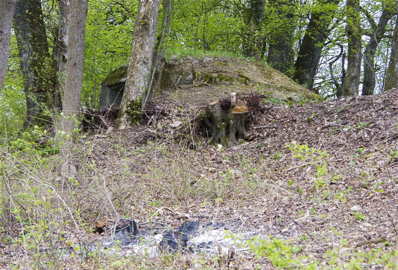 Ligne Maginot - C4 - EICHHOLTZ 2 - (Blockhaus pour canon) -  - Jean-Louis AUBLET & Sylvie MAINGUIN
