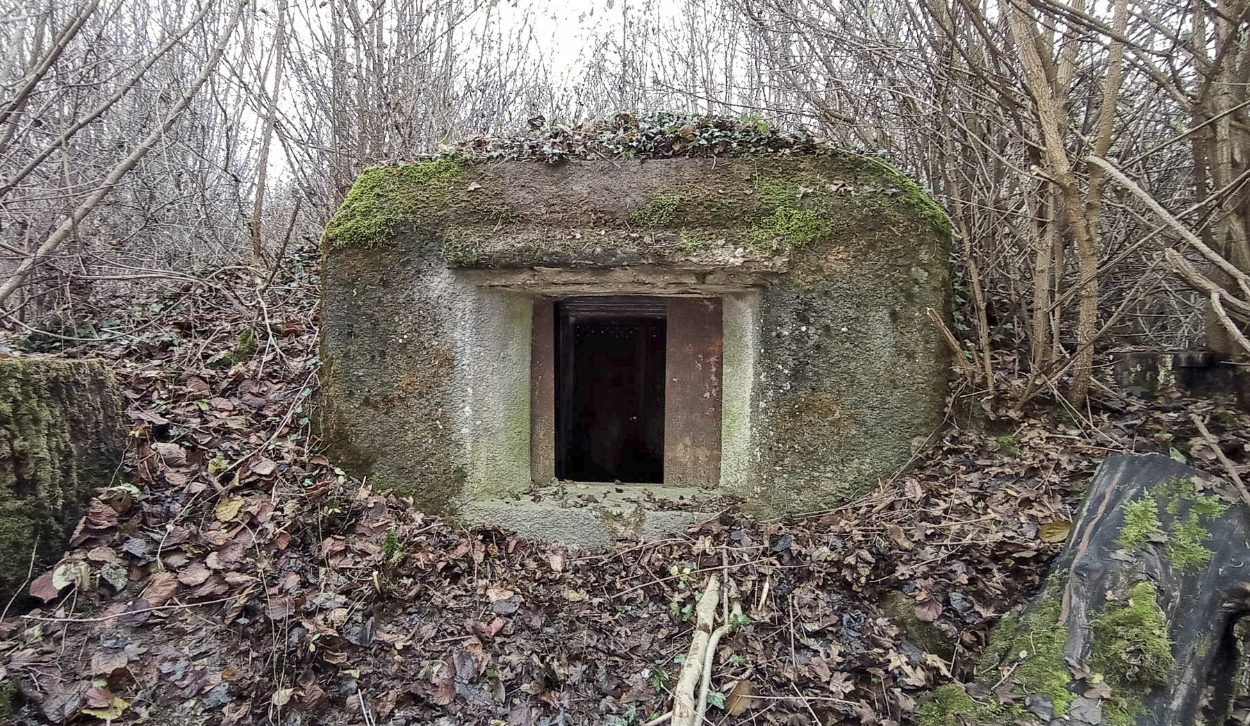 Ligne Maginot - C4 - EICHHOLTZ 2 - (Blockhaus pour canon) - Créneau pour canon de 25 mm - Baptiste Gaudin