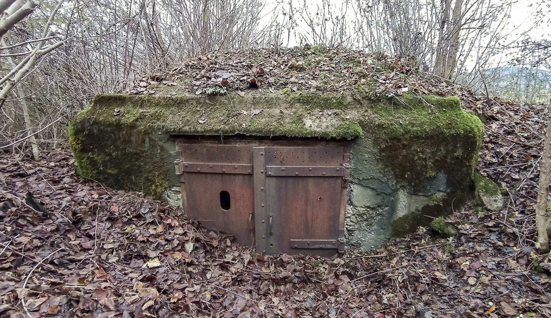 Ligne Maginot - C4 - EICHHOLTZ 2 - (Blockhaus pour canon) - L'entrée.
Le blockhaus est assailli par la végétation - Baptiste Gaudin