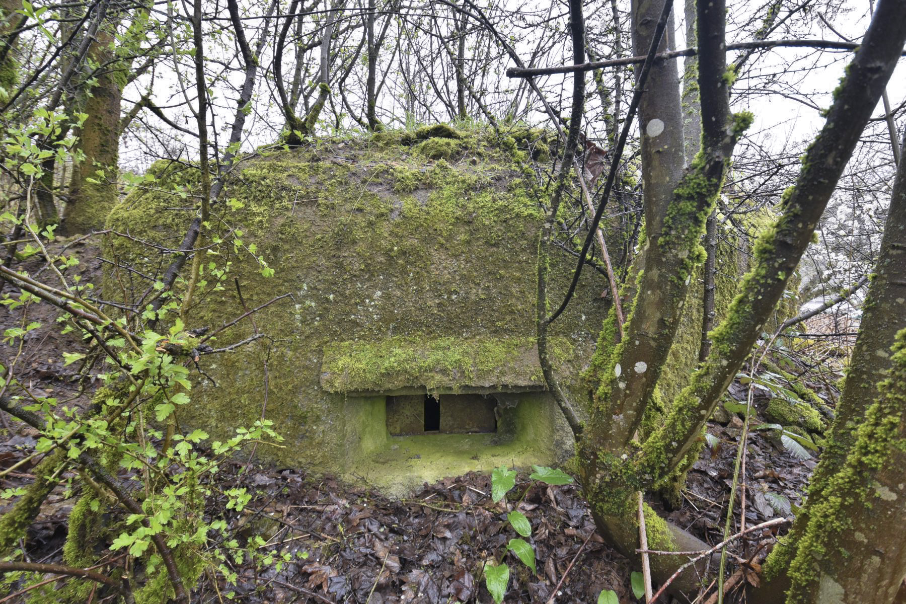 Ligne Maginot - M4 - EICHHOLTZ 1 - (Blockhaus pour arme infanterie) -  - Ludovic KNAPP