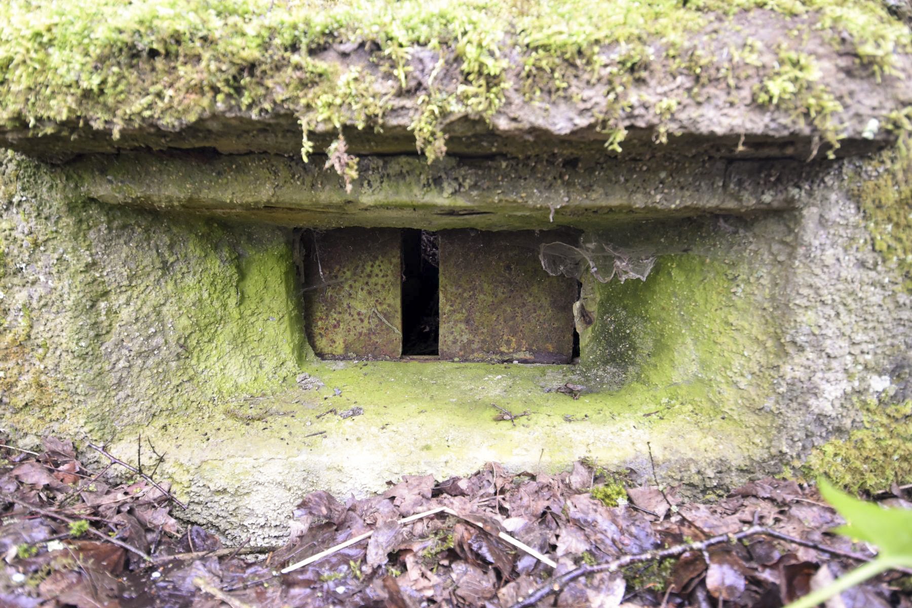 Ligne Maginot - M4 - EICHHOLTZ 1 - (Blockhaus pour arme infanterie) -  - Ludovic KNAPP