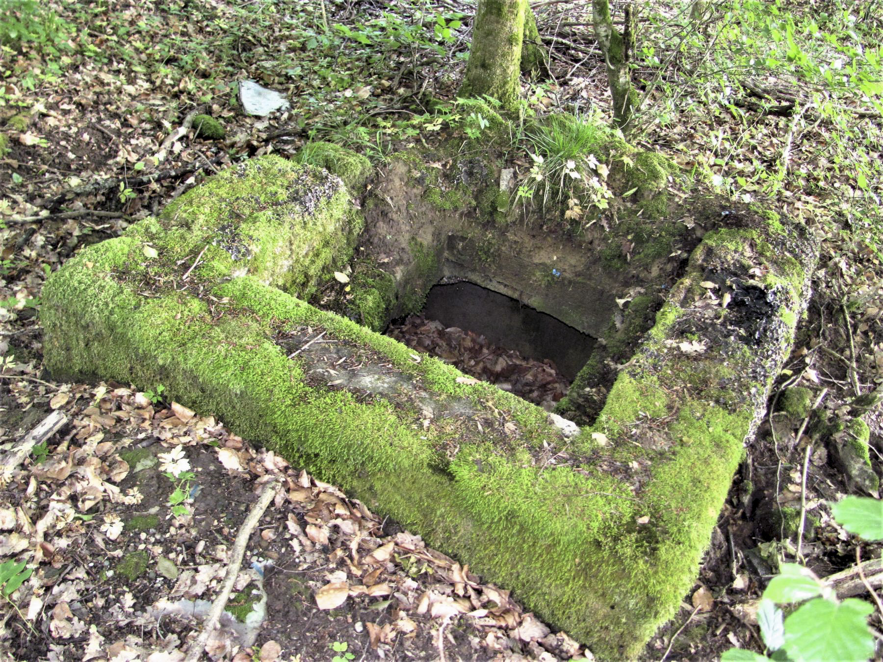 Ligne Maginot - LEMBACH (OBSERVATOIRE FT RADIO DE) - (Observatoire d'infanterie) -  - Baptiste GAUDIN