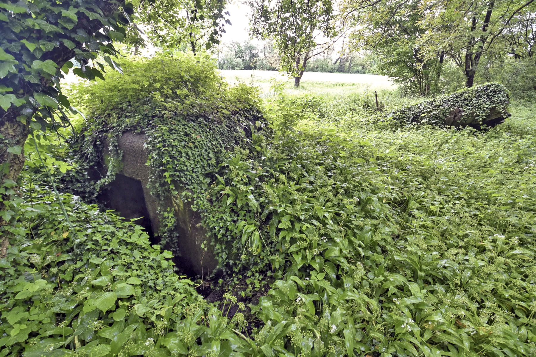 Ligne Maginot - FELDELE SUD - (Blockhaus pour arme infanterie) -  - Ludovic KNAPP