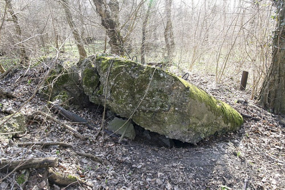 Ligne Maginot - FELDELE Nord - (Blockhaus pour arme infanterie) -  - Les Gardiens du Rhin
