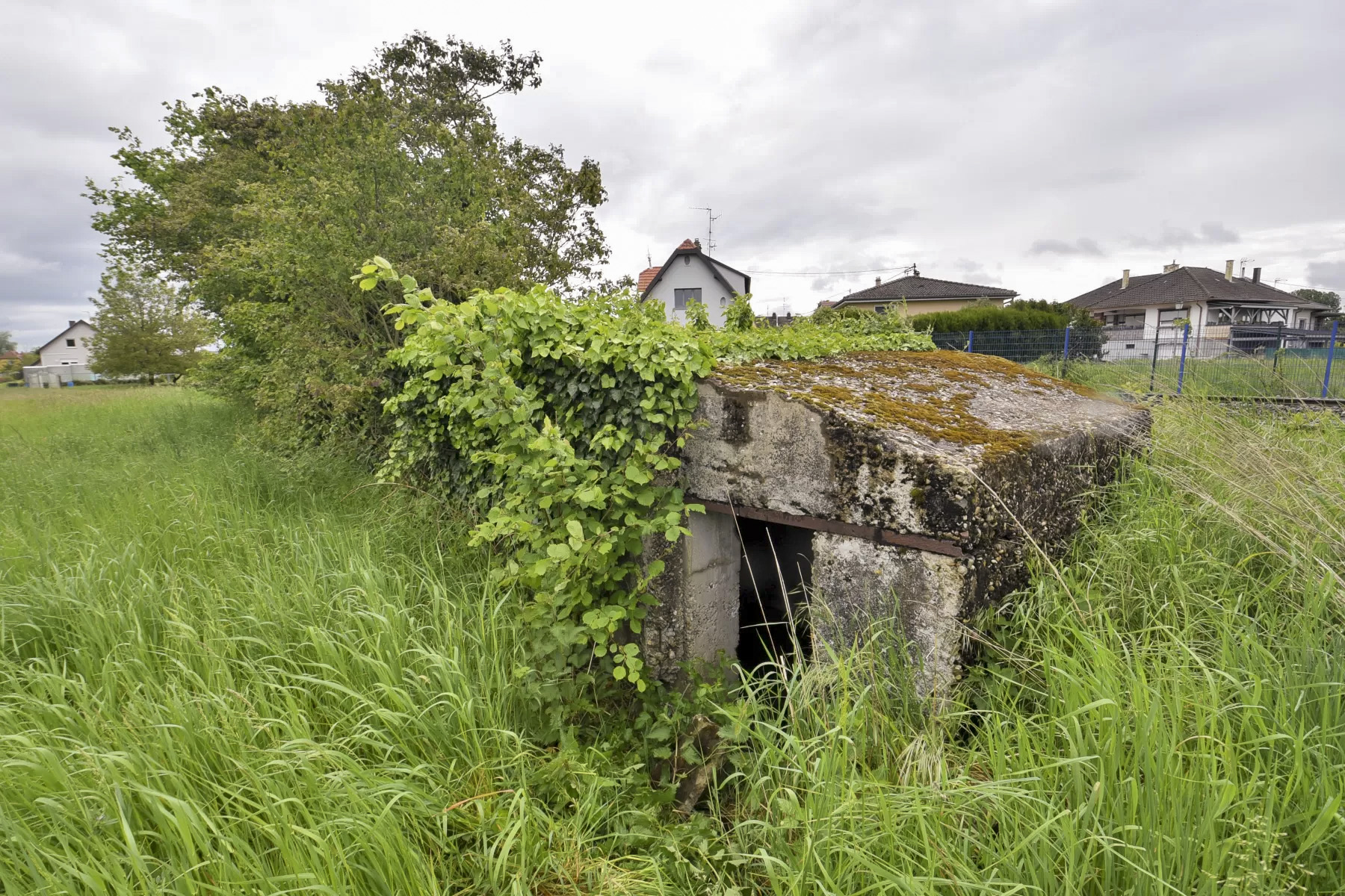 Ligne Maginot - GIFITZ - (Abri) -  - Ludovic KNAPP