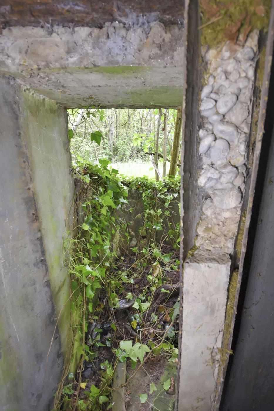 Ligne Maginot - BARRWALD OUEST - (Blockhaus pour arme infanterie) -  - Ludovic KNAPP