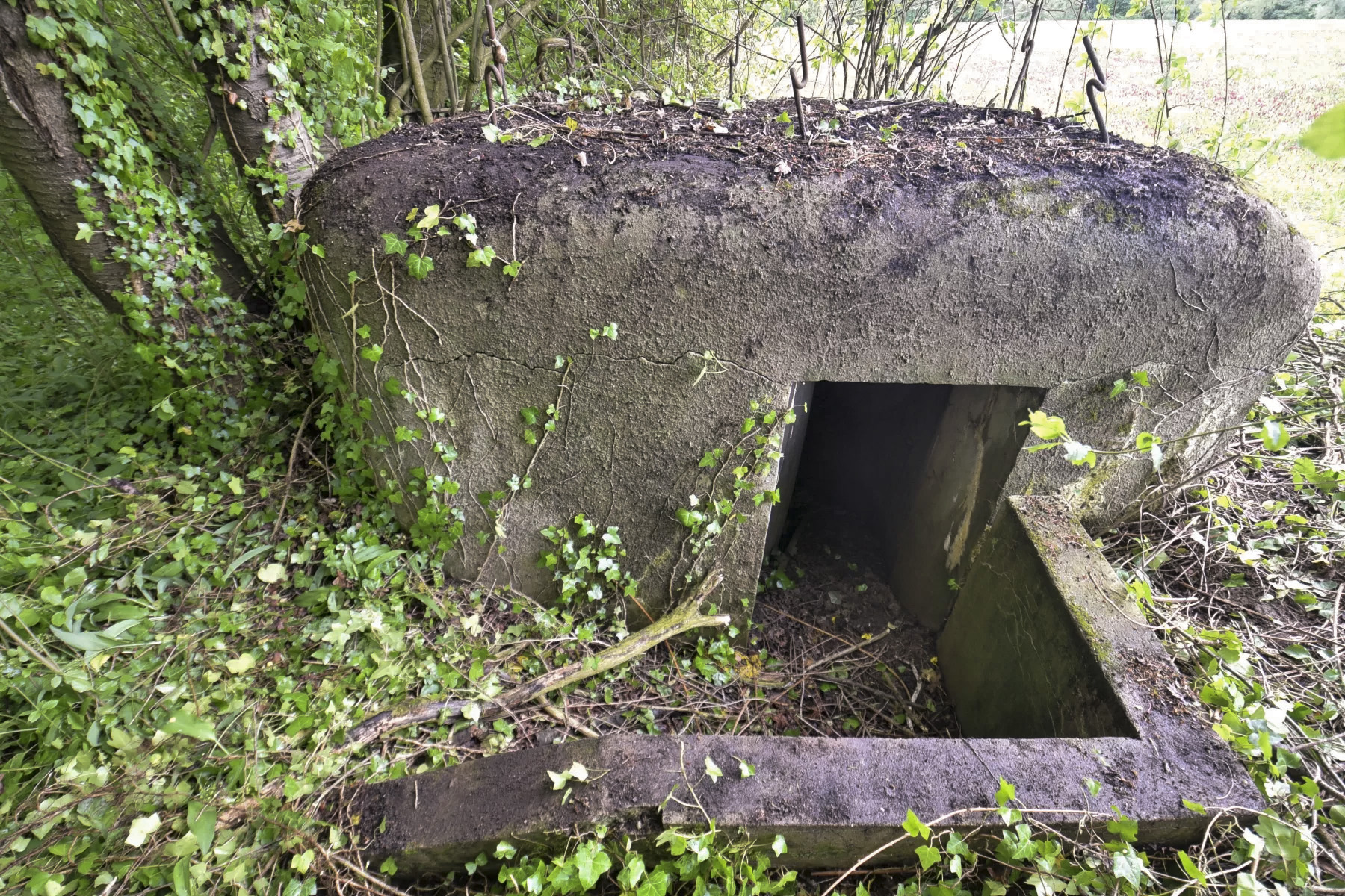 Ligne Maginot - BARRWALD EST - (Blockhaus pour arme infanterie) -  - Ludovic KNAPP