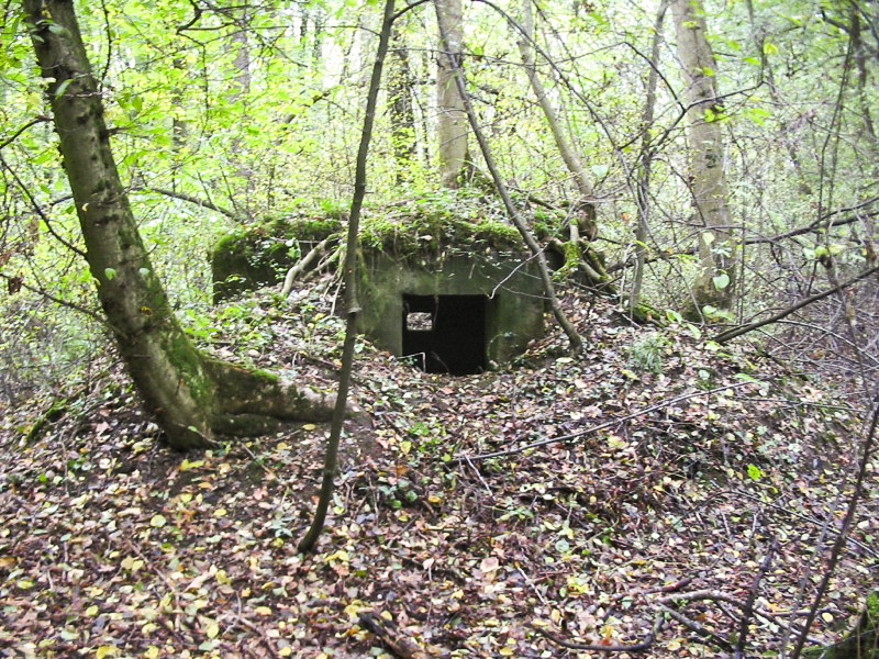 Ligne Maginot - HEIDENBERG 1 (Blockhaus pour arme infanterie) - Vue d'ensemble du coté de l'entrée - Antoine SCHOEN