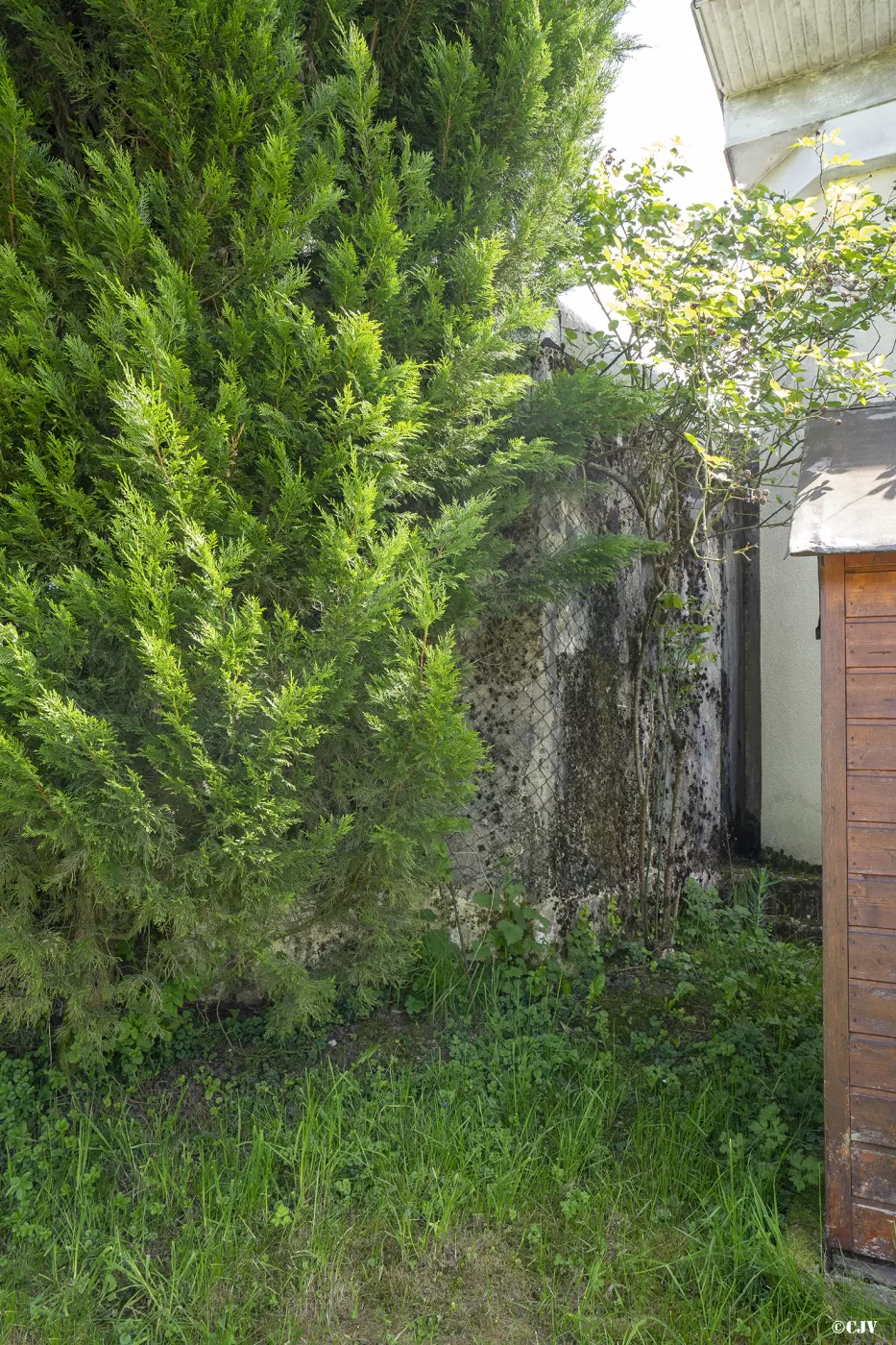 Ligne Maginot - MOULIN BAS (POSTE AVANCé GRM) - (Poste GRM - Maison Forte) - Caché par les buissons - Lia VERMEULEN