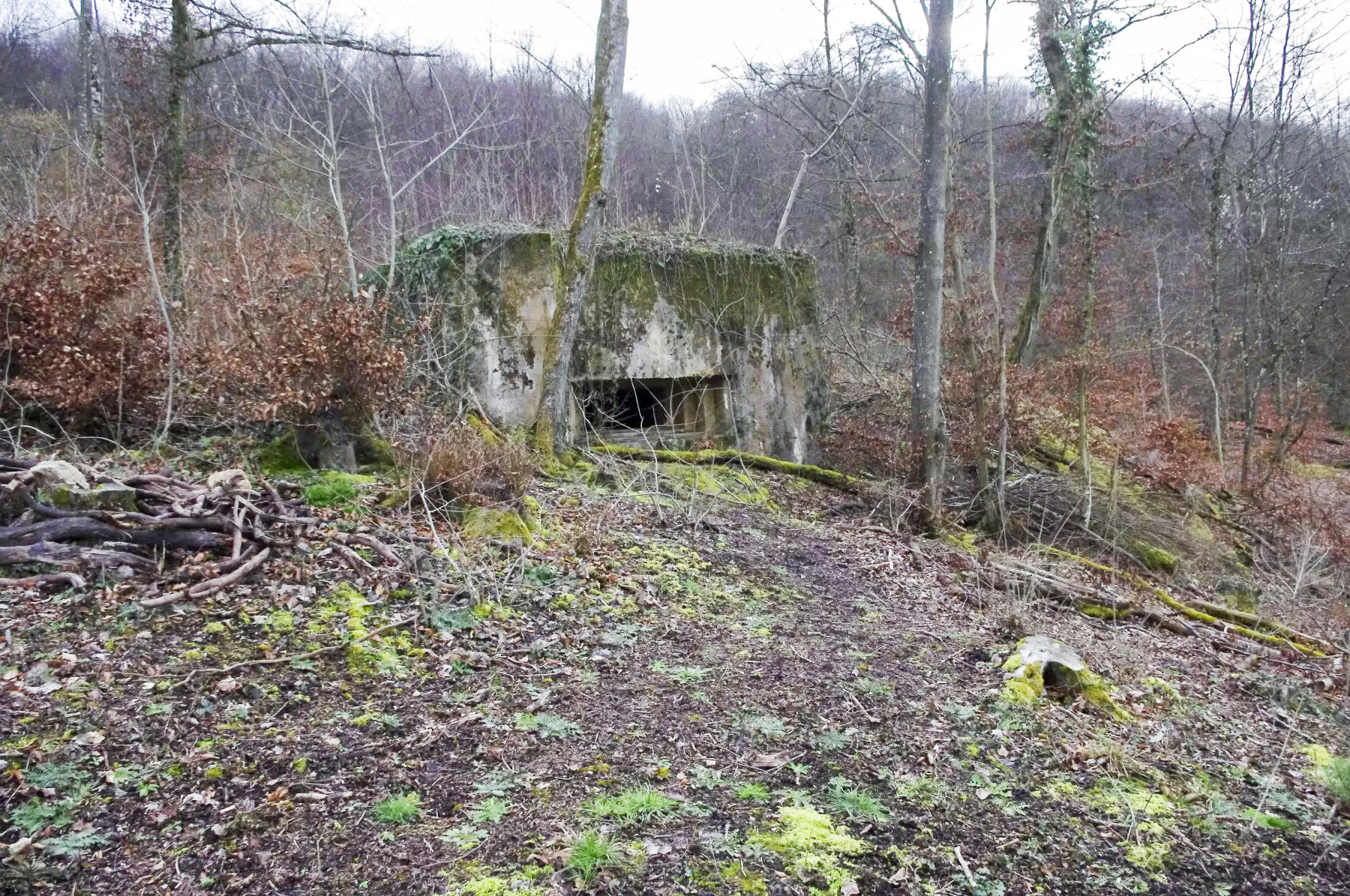 Ligne Maginot - CB105 - BROMACKER - (Blockhaus pour canon) - La façade de tir. - STENGER Mathieu