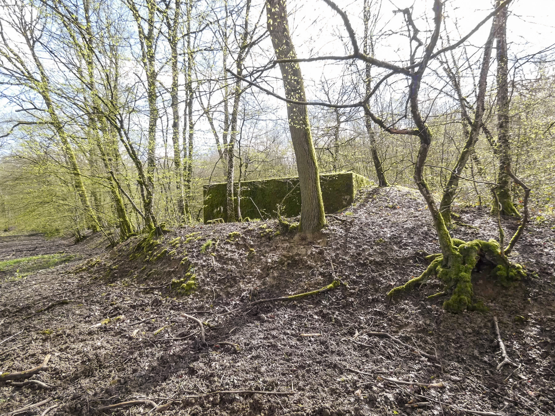 Ligne Maginot - CB310 - ZEITERHOLZ - (Blockhaus pour arme infanterie) - Une vue de l'arrière. - STENGER Mathieu