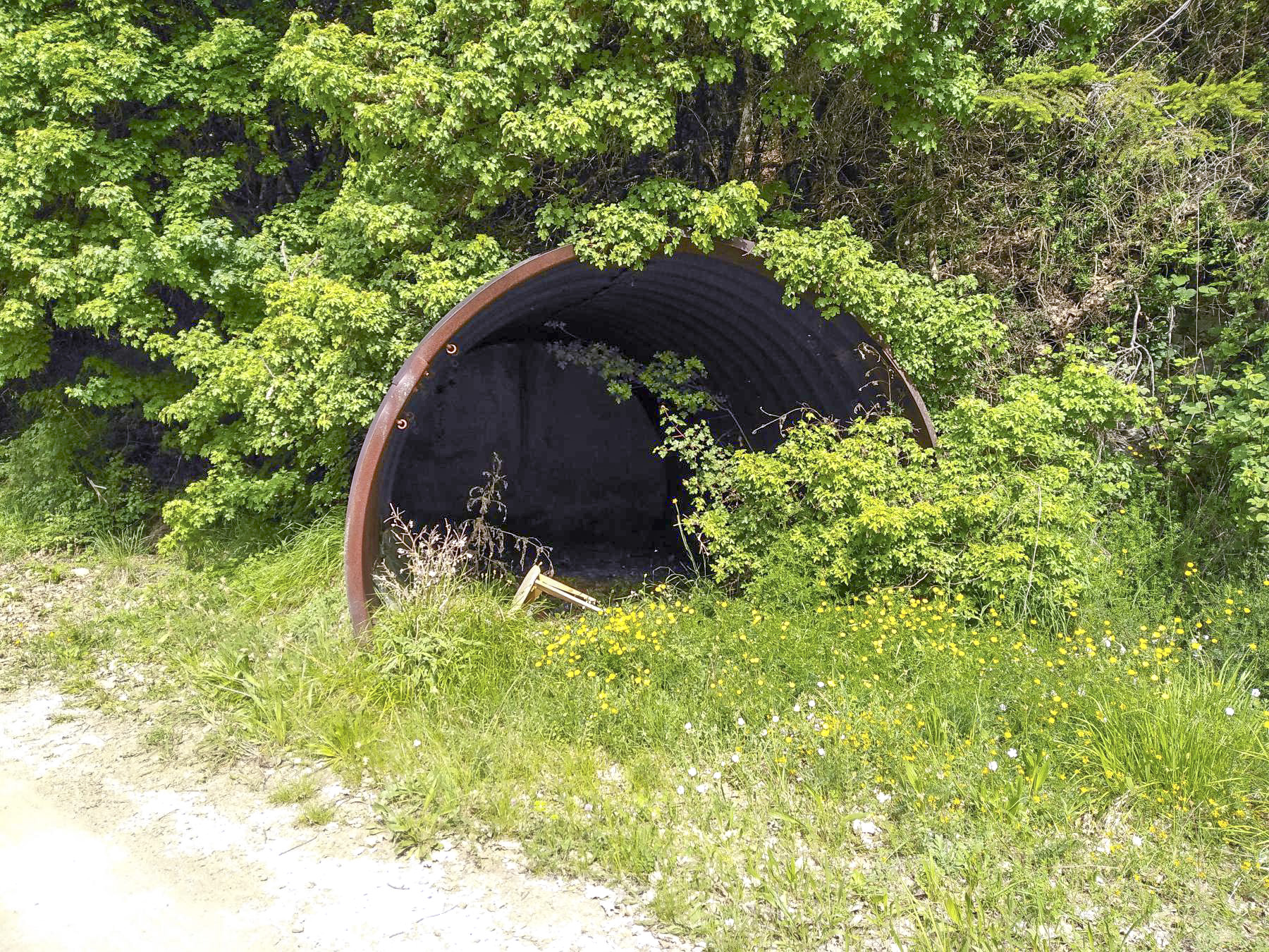 Ligne Maginot - COL D'ANDRION - (Position d'artillerie préparée) - Casernement en tôle métro sur le bord de la route - MASSON Gael