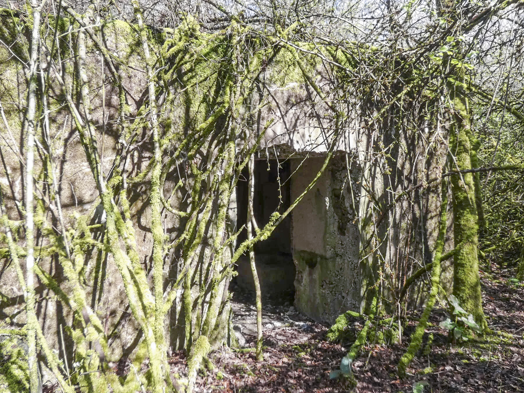 Ligne Maginot - CB313 - RASPICH - (Blockhaus pour canon) - L'entrée arrière pour le canon anti-char. - STENGER Mathieu