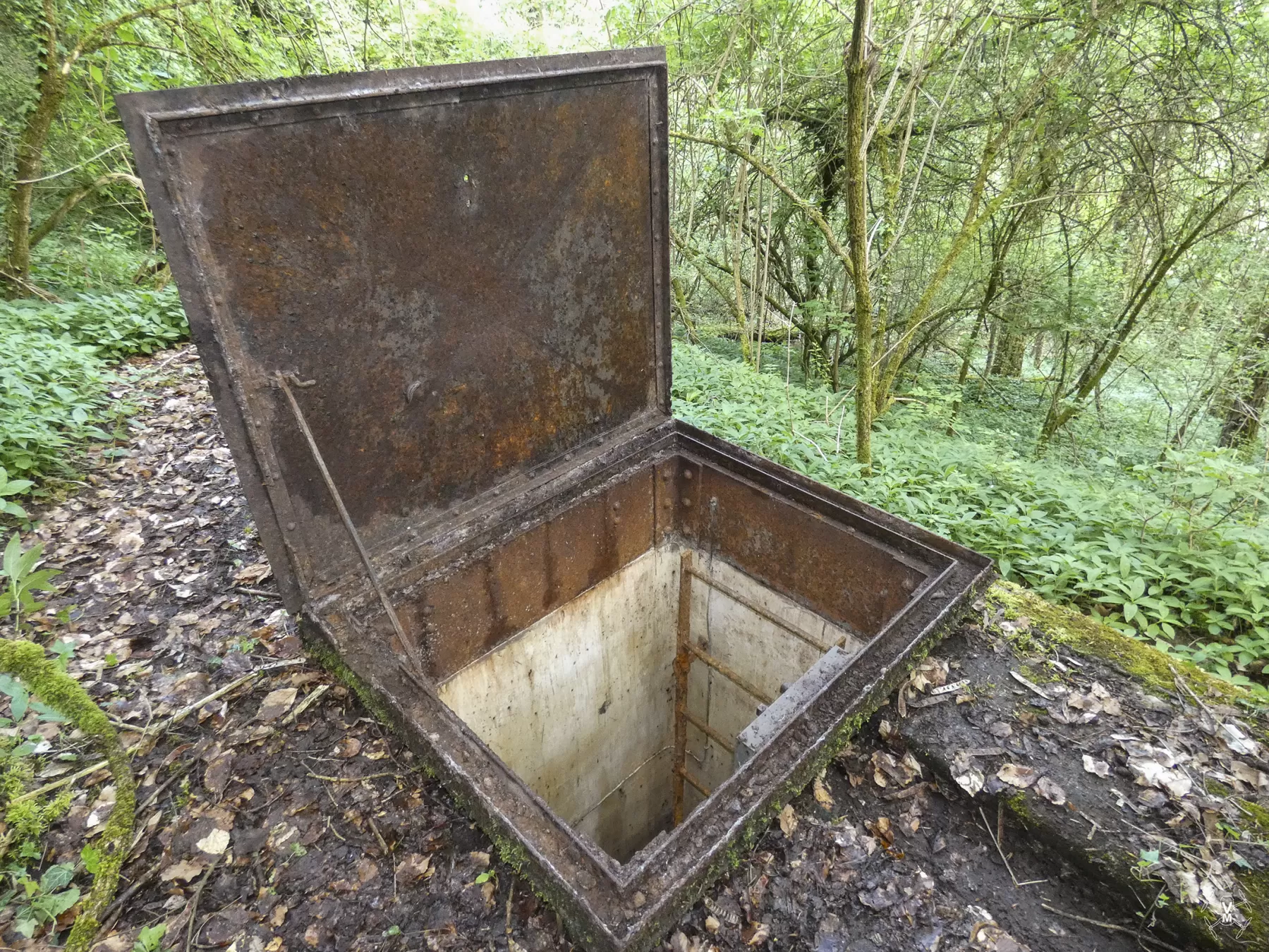 Ligne Maginot - 77M - (Chambre de coupure) -  - Vincent Vermeulen