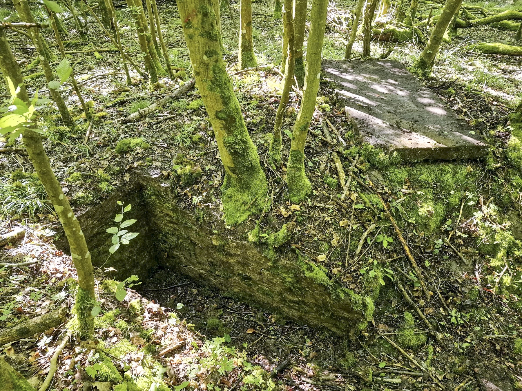 Ligne Maginot - LANGWIESERWALD 3 - (Observatoire indéterminé) - Poste d'observation - Franck Niederlender