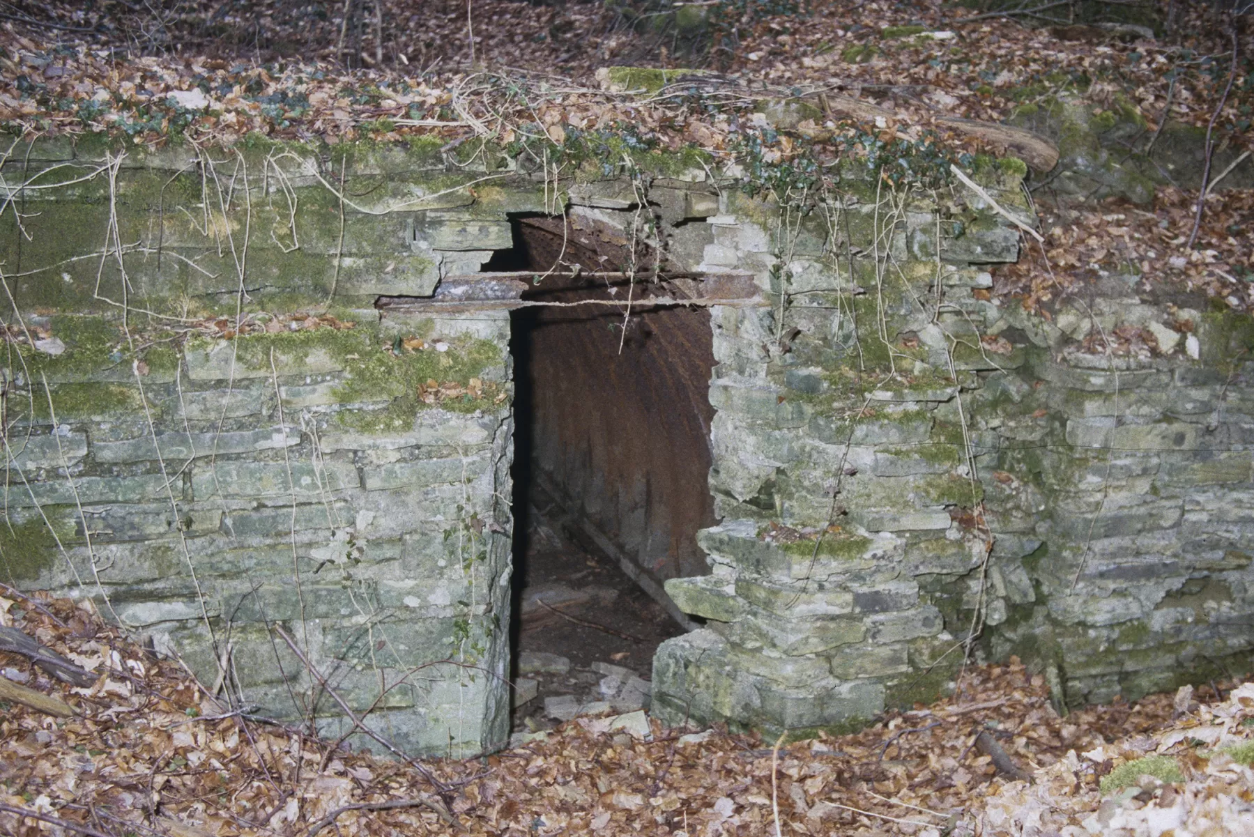 Ligne Maginot - BOIS DE TETING 2 - (PC) - L'alvéole gauche - MANSUY Michel