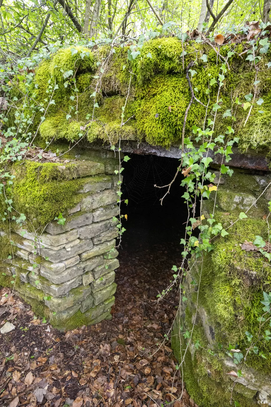 Ligne Maginot - BOIS DE TETING 2 - (PC) - L'alvéole droite - Lia VERMEULEN