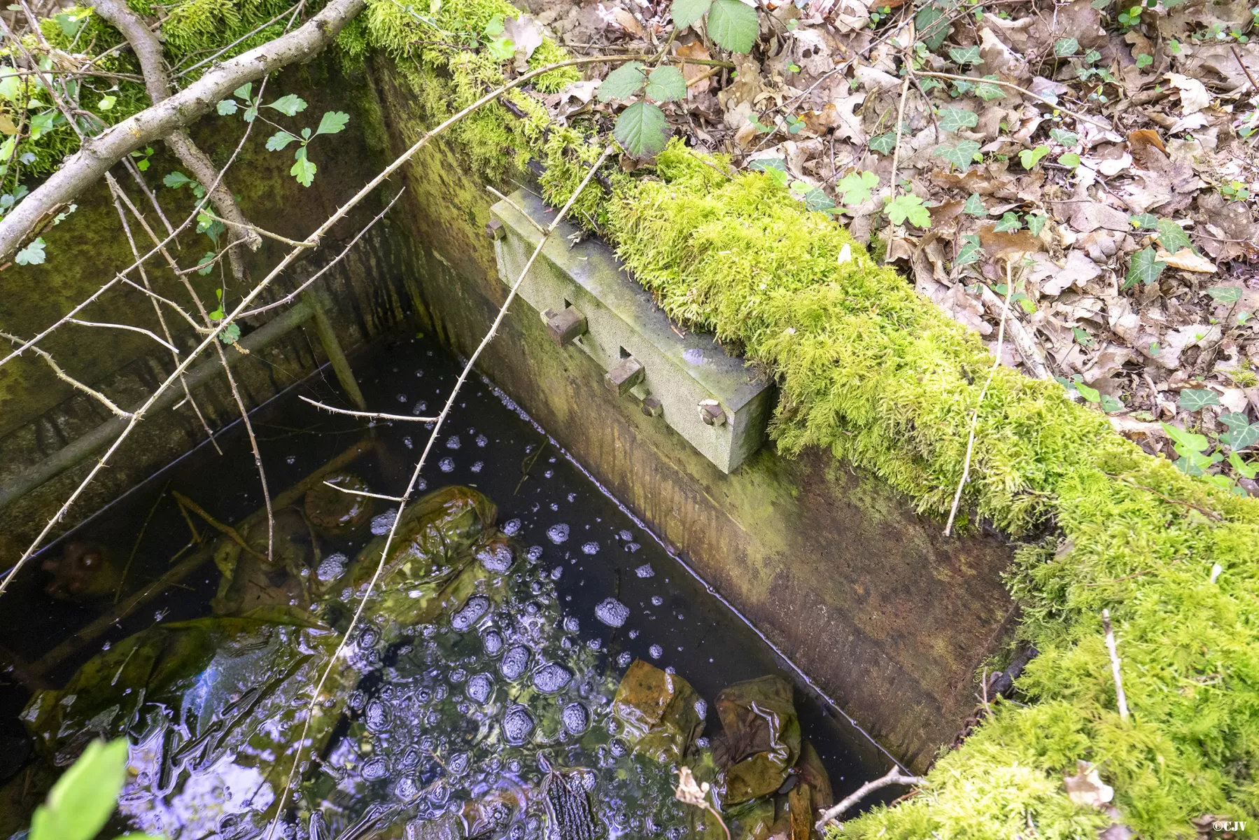 Ligne Maginot - 3A - (Chambre de coupure) -  - Lia VERMEULEN