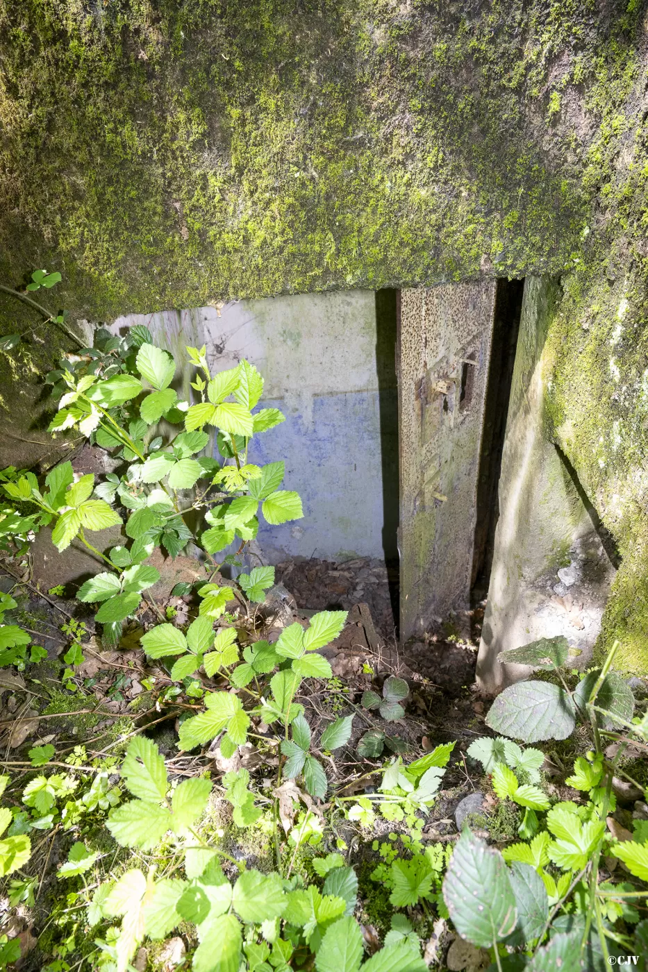 Ligne Maginot - BB3 - BUCHWIESE EST - (Blockhaus pour canon) - L'entrée - Lia VERMEULEN
