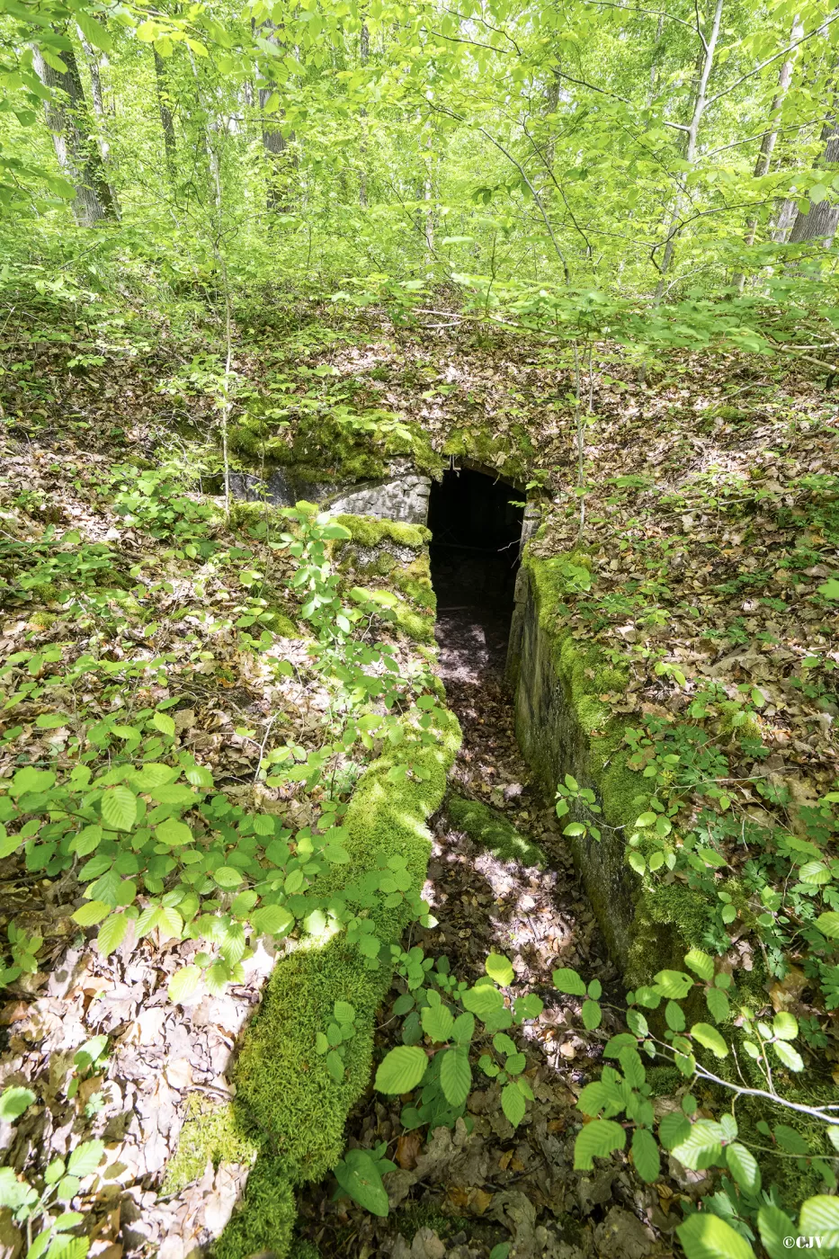 Ligne Maginot - BB3-C - EHEFLOSS EST (CM9/III/161° RIF) - (PC de Sous-Quartier) - Tranchée d’accès à l'alvéole gauche - Lia VERMEULEN