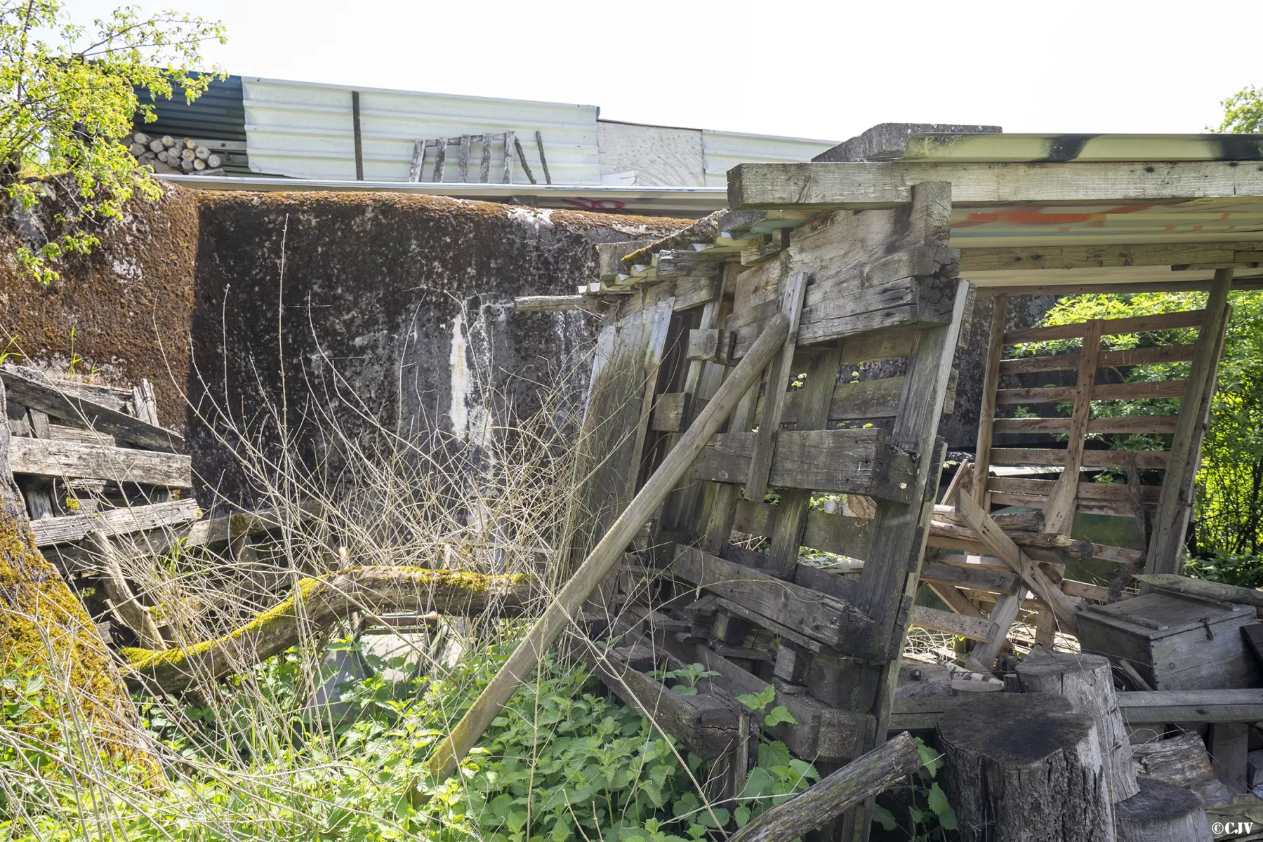 Ligne Maginot - BB32 - FOLTERSBERG - (Blockhaus pour canon) - Le blockhaus est à peine visible derrière tout le matériel - Lia VERMEULEN