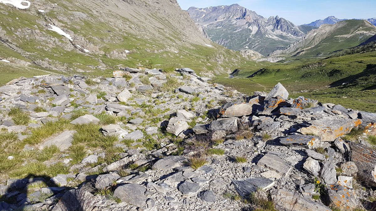 Ligne Maginot - COL DU FREJUS - (Blockhaus pour arme infanterie) -  - Ellena-Cuny