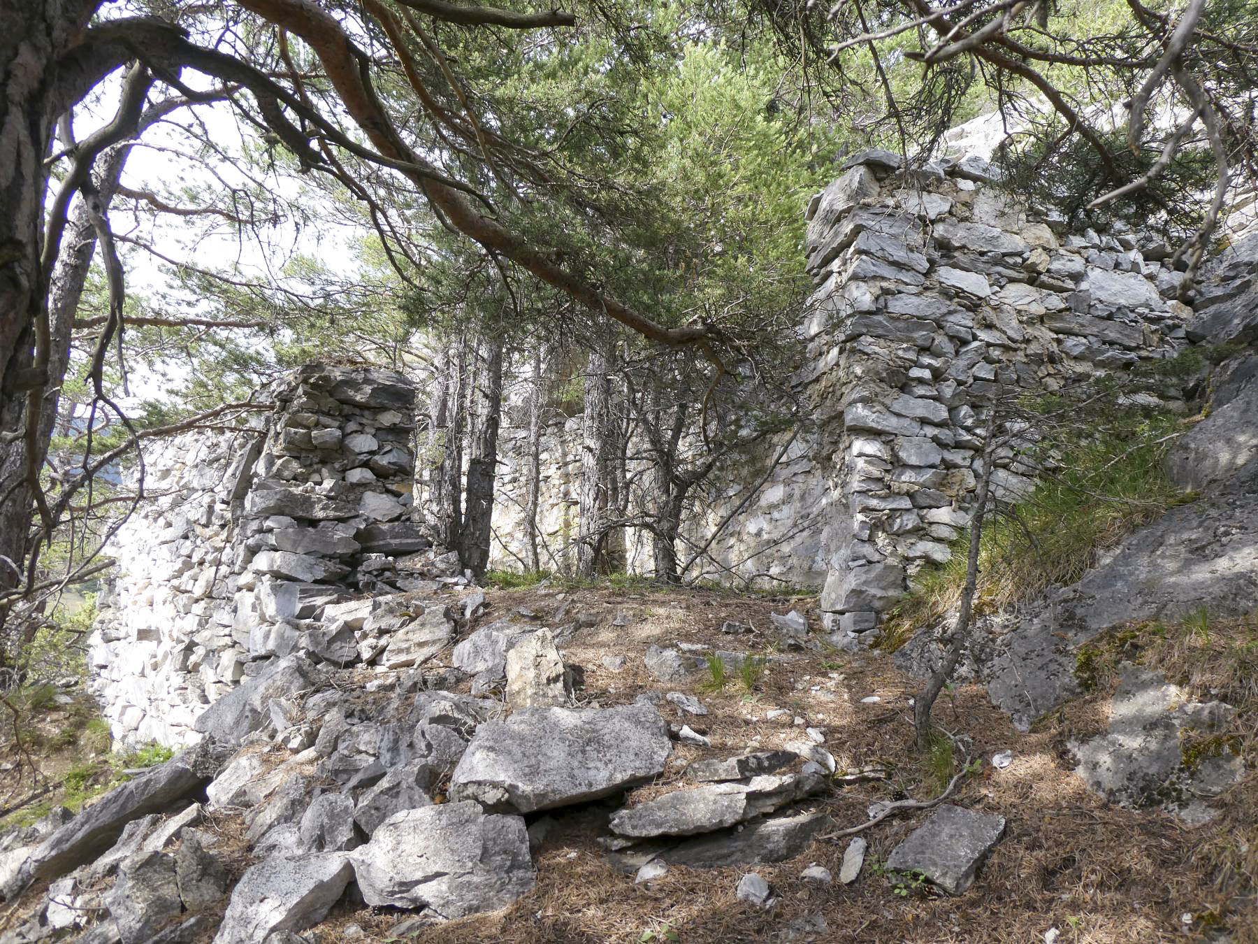 Ligne Maginot - COTE 1408 OUEST - (Abri) -  - ELLENA - CUNY