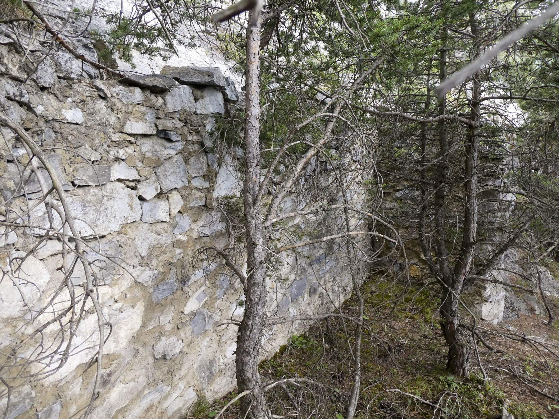 Ligne Maginot - COTE 1408 OUEST - (Abri) -  - ELLENA - CUNY