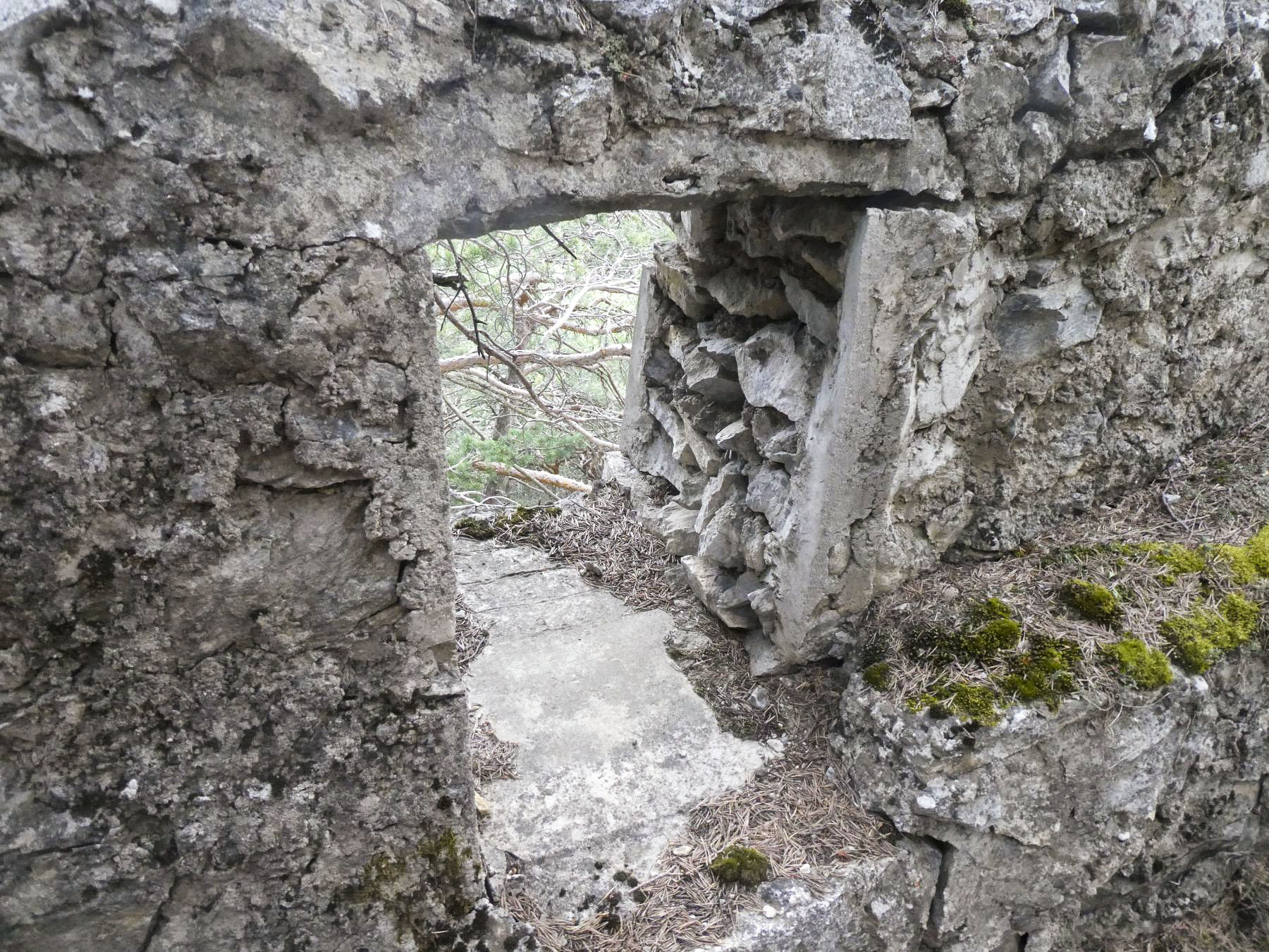 Ligne Maginot - COTE 1408 OUEST - (Abri) -  - ELLENA - CUNY