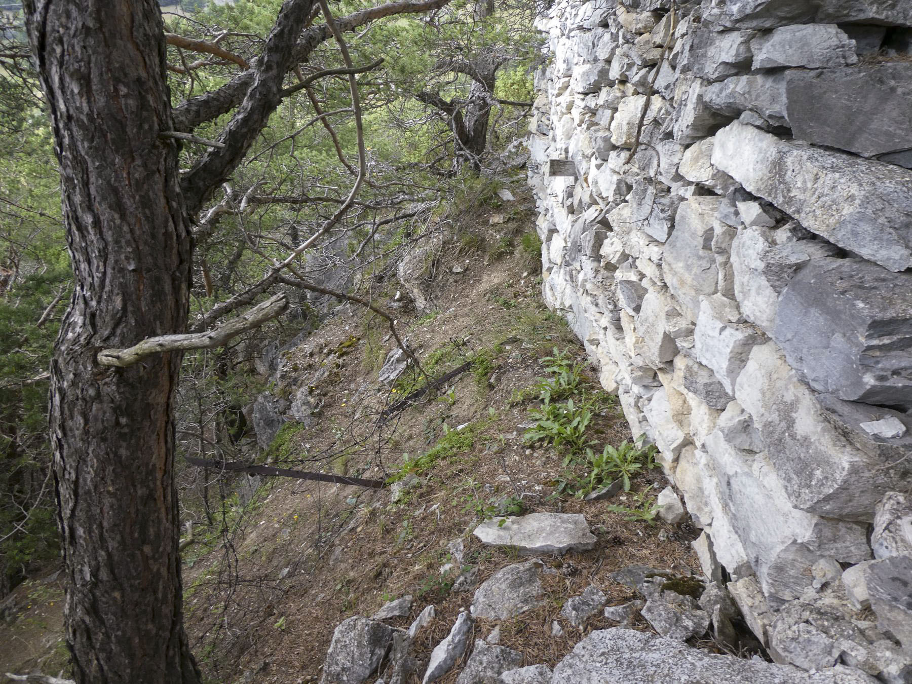 Ligne Maginot - COTE 1408 OUEST - (Abri) -  - ELLENA - CUNY