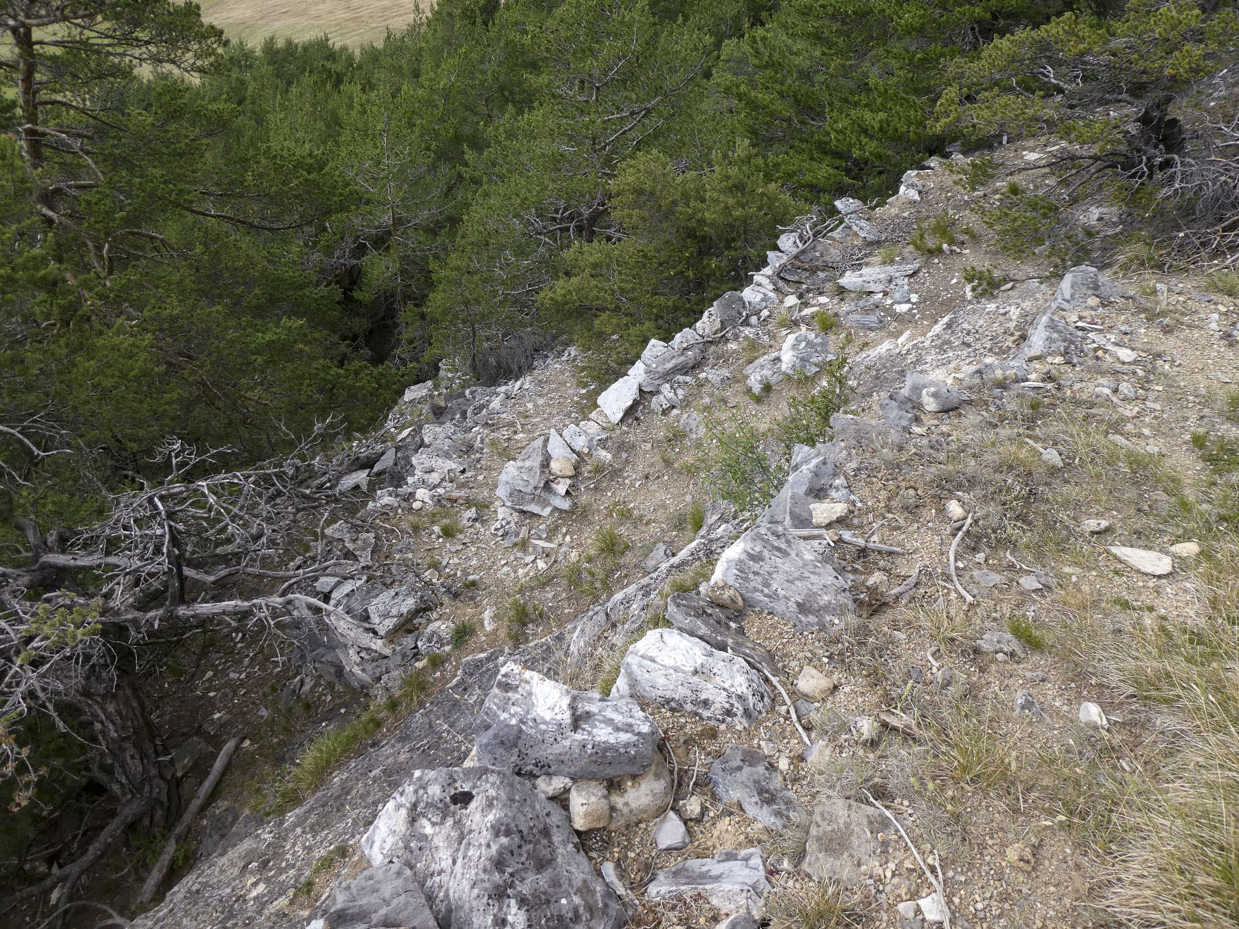 Ligne Maginot - COTE 1408 OUEST - (Abri) - Chemin d'accès  - ELLENA - CUNY