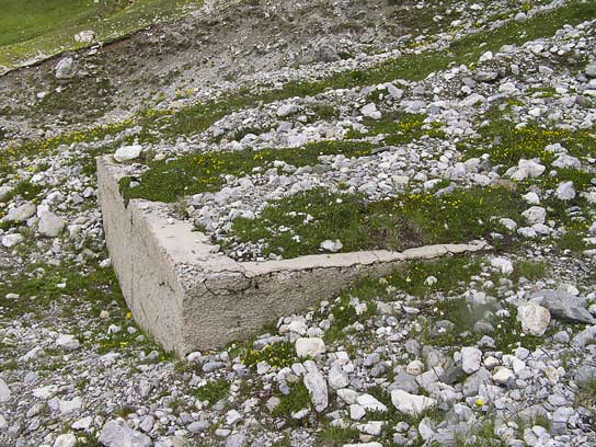 Ligne Maginot - LA ROUE - (Ouvrage d'infanterie) - Le bassin de la source d'eau alimentant l'ouvrage, situé au bord du chemin d'accès - ZEIG Marc
