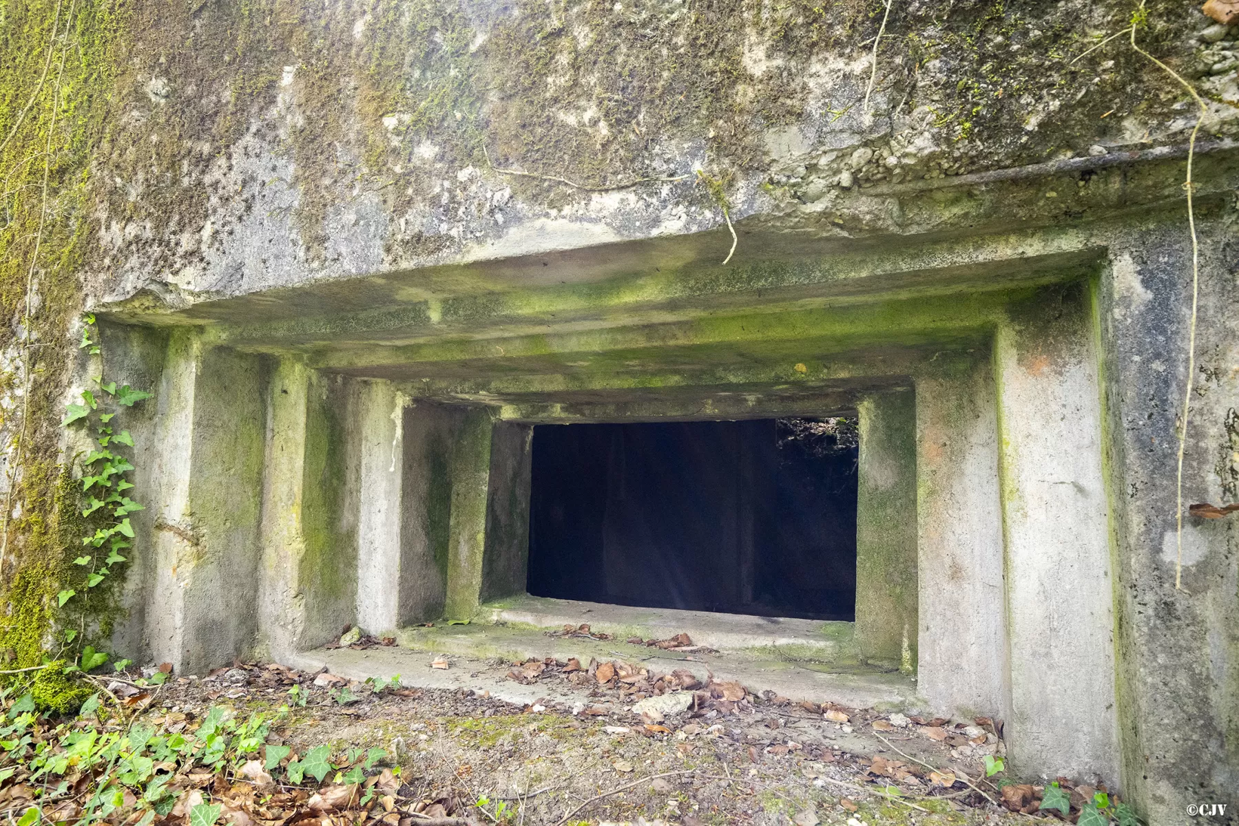 Ligne Maginot - CB137 - NONNENBERG CENTRE - (Blockhaus pour canon) - Le créneau pour canon - Lia VERMEULEN