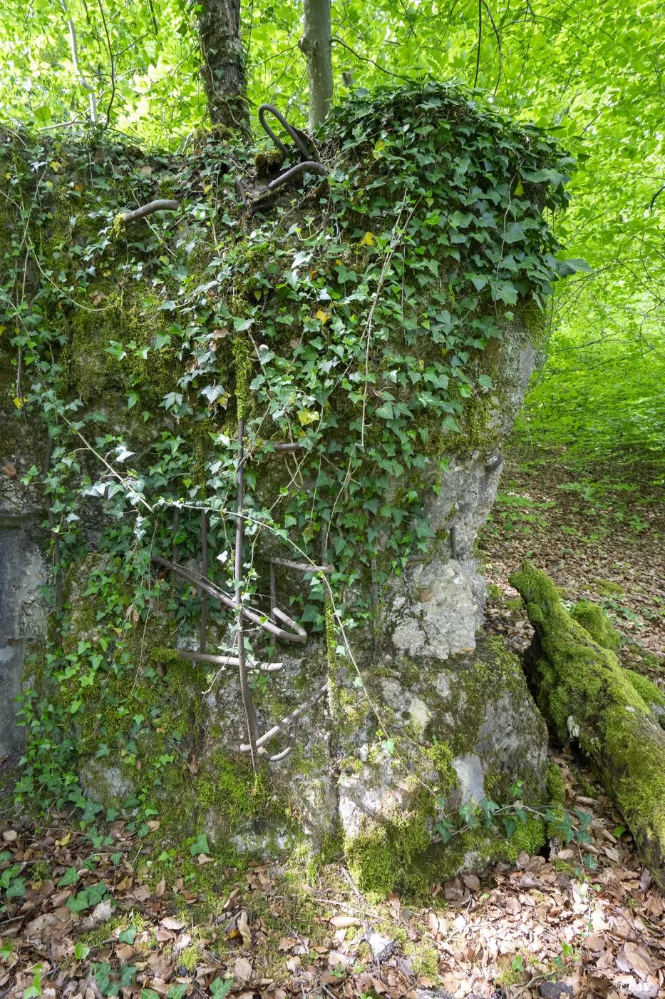 Ligne Maginot - CB137 - NONNENBERG CENTRE - (Blockhaus pour canon) - Le coin est endommagé - Lia VERMEULEN