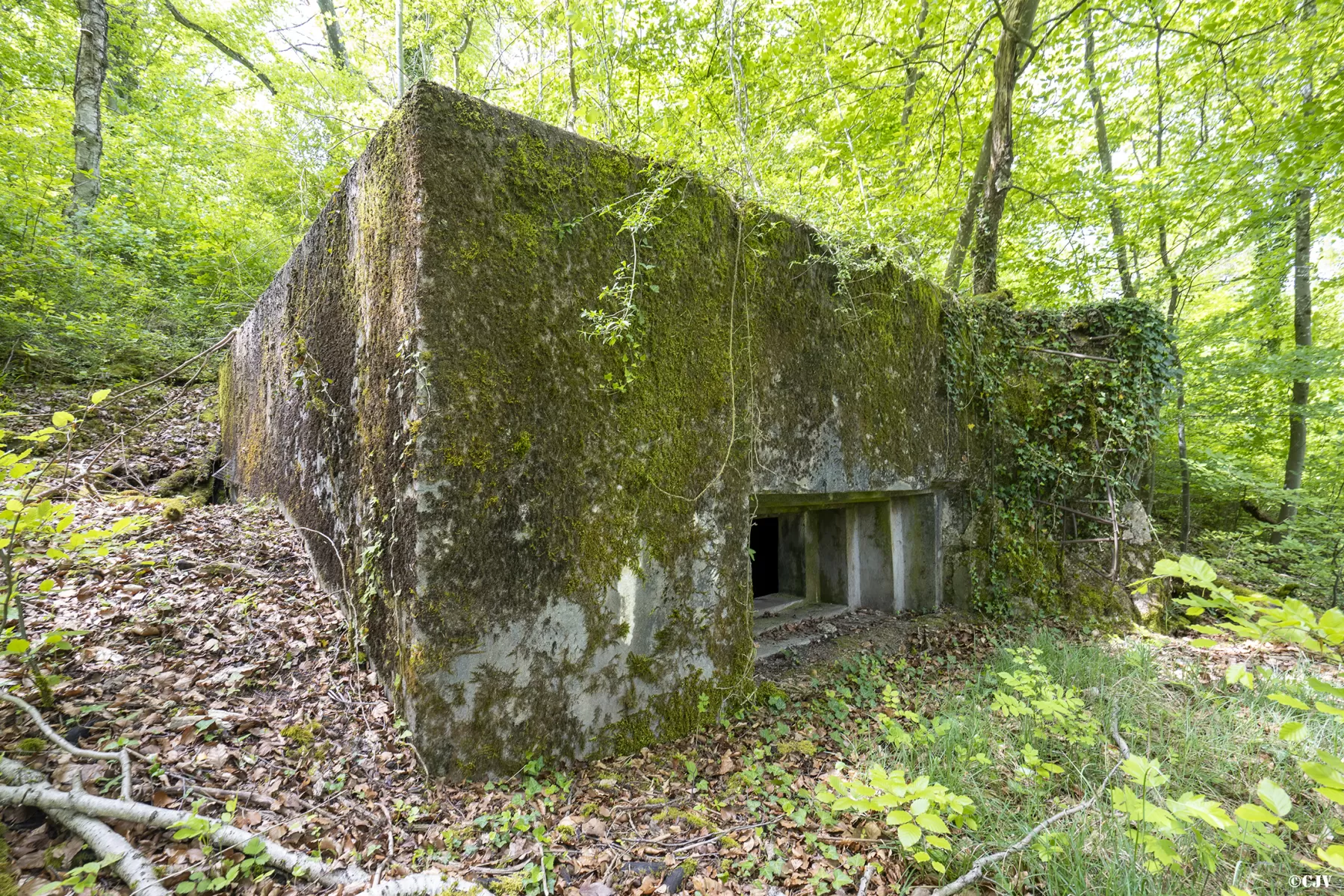 Ligne Maginot - CB137 - NONNENBERG CENTRE - (Blockhaus pour canon) -  - Lia VERMEULEN