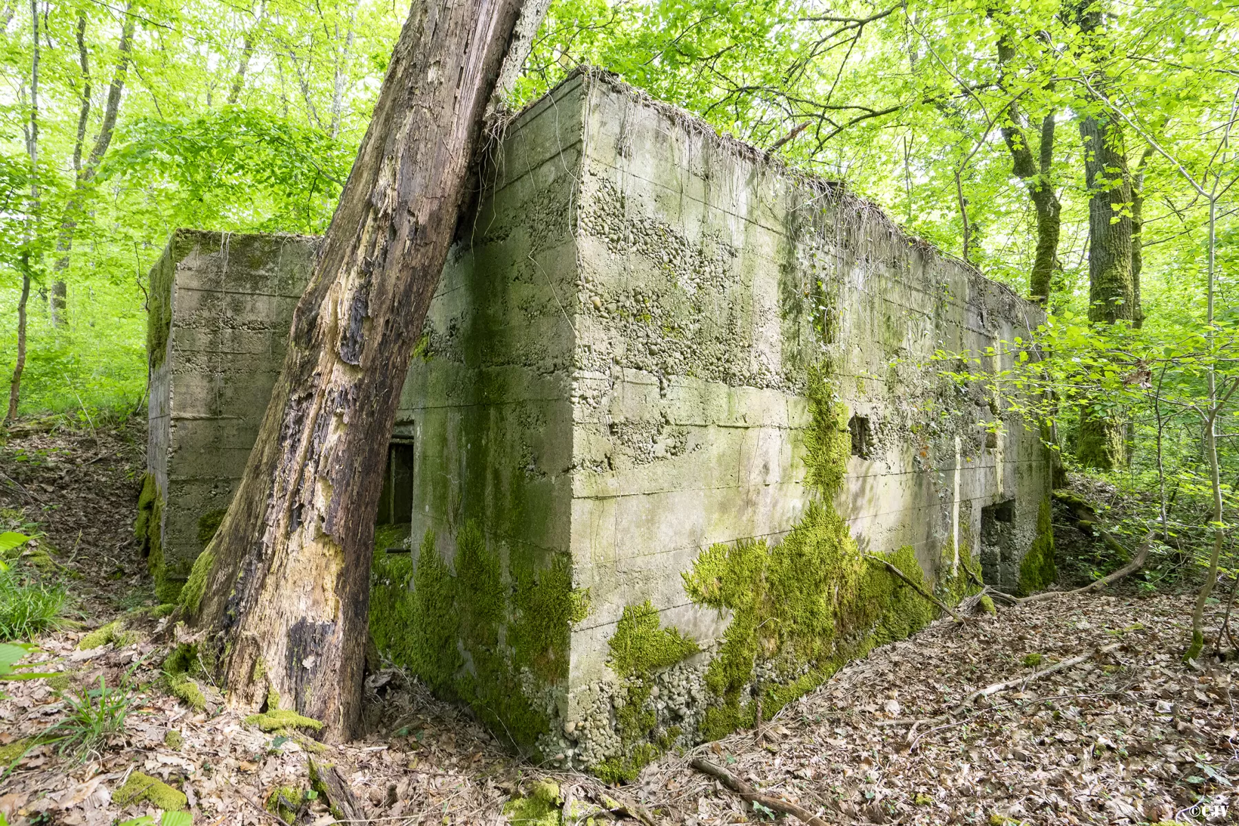 Ligne Maginot - CB441 - (Blockhaus pour arme infanterie) - Face latéral avec l'entrée - Lia VERMEULEN