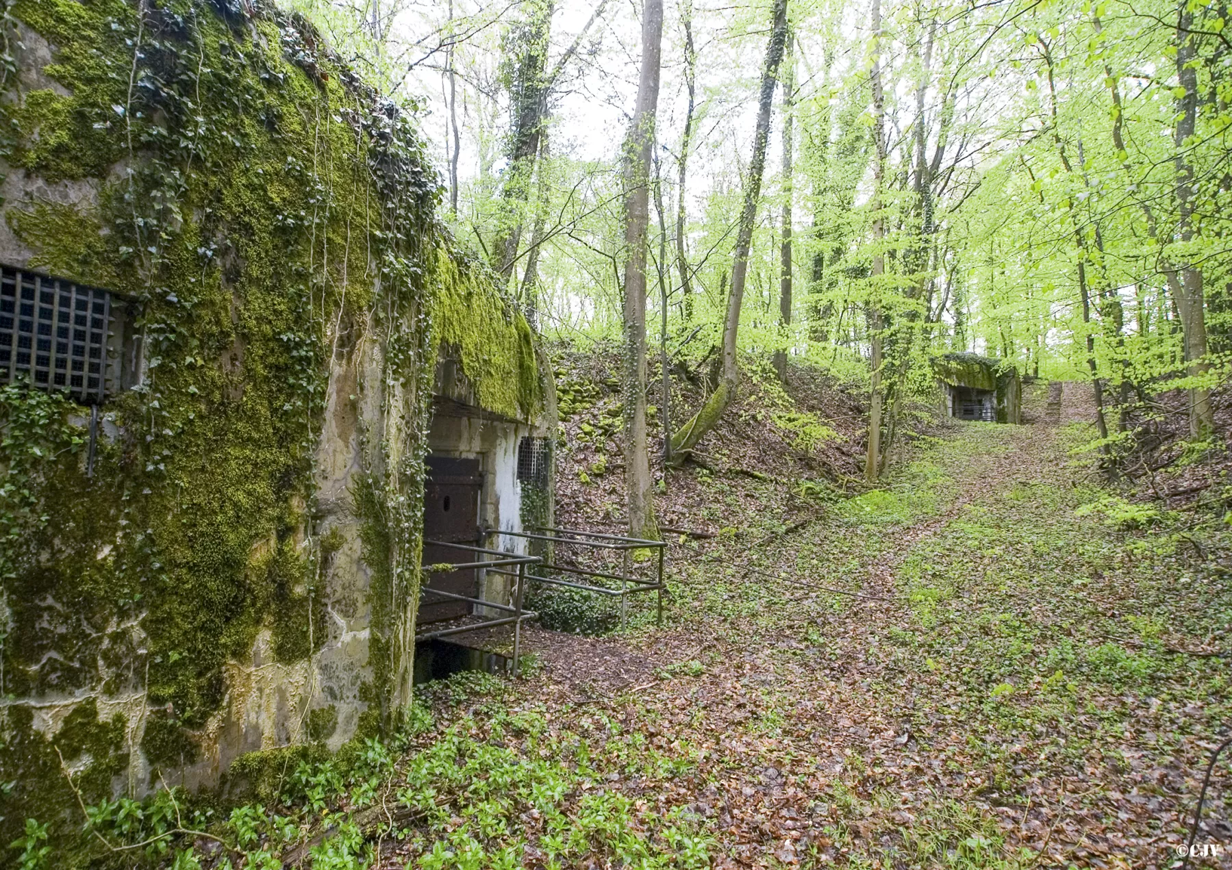 Ligne Maginot - BOIS D'ESCHERANGE - X3 (QUARTIER KANFEN - I/169°RIF) - (Abri) - Vue des deux coffres d'entrée de l'abri - Lia VERMEULEN