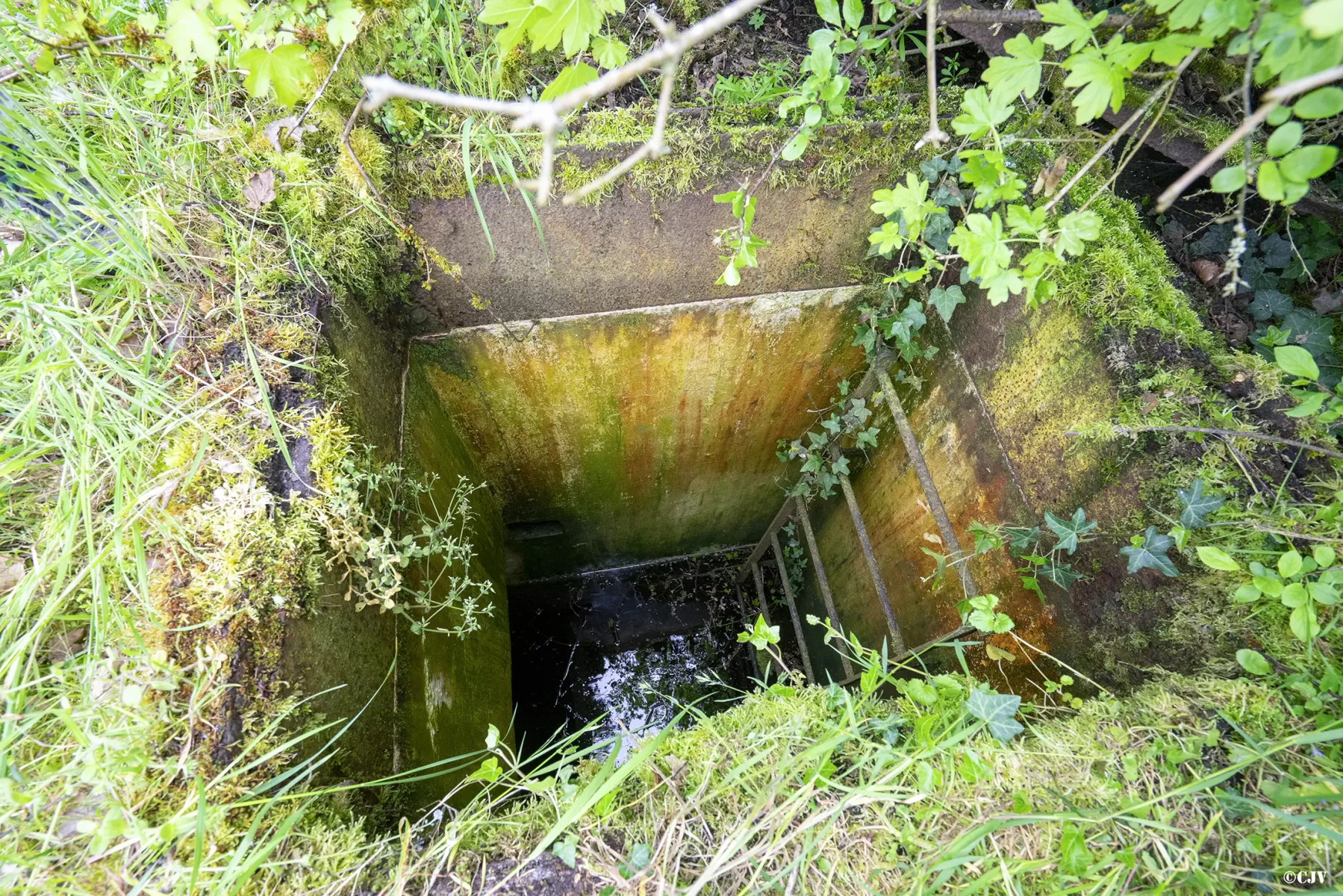 Ligne Maginot - 13A - (Chambre de coupure) -  - Lia VERMEULEN