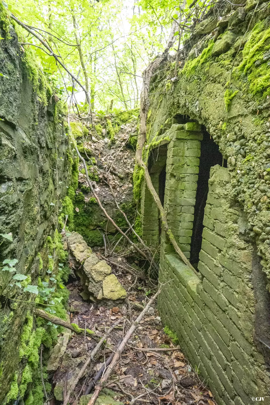 Ligne Maginot - BOIS DE MEDERCHEN (I/160° RIF) - (PC de Quartier) -  - Lia VERMEULEN